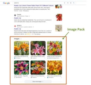 Image SEO for Standard Search Engine Result Pages | Image Packs in SERP