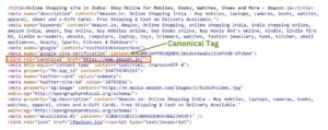 Canonical Tag Example | How to use Canonical Tag